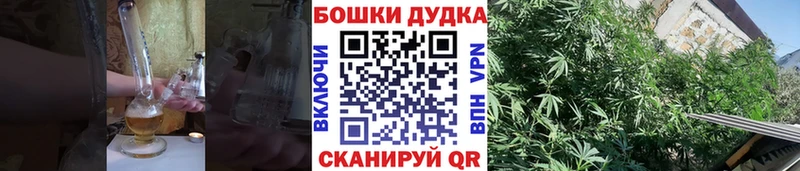Купить закладку Псилоцибиновые грибы  Марихуана  МЕФ  ГАШ  Экстази  СК  Белая Калитва