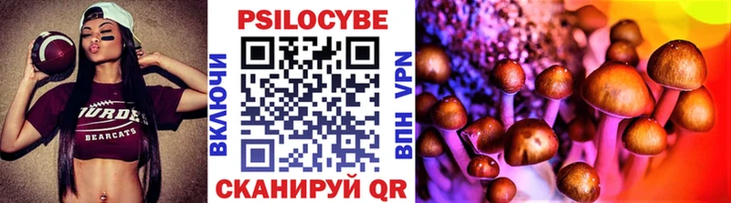Купить закладки  Белая Калитва  Псилоцибиновые грибы Psilocybine cubensis 